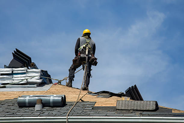 Professional Roof Replacement technician working in Blaine, WA